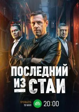 Последний из стаи онлайн